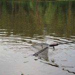 IMG_2204 IMG_2204
