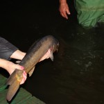 IMG_2306 IMG_2306