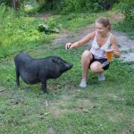 IMG_2508 IMG_2508