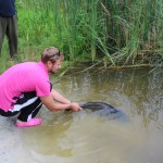 IMG_2670 IMG_2670
