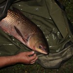 IMG_2767 IMG_2767