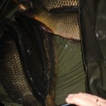 IMG_2771