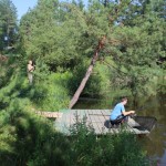 IMG_2866 IMG_2866