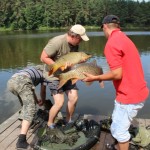 IMG_3072 IMG_3072