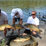 IMG_3082 IMG_3082