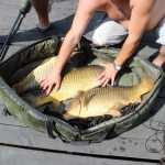 IMG_3102 IMG_3102