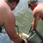 IMG_3108 IMG_3108