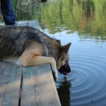 IMG_3166 IMG_3166