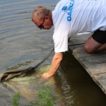 IMG_3362 IMG_3362