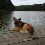 IMG_3499 IMG_3499
