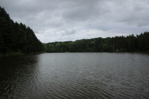 IMG_3506