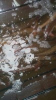 IMAG0226_BURST001