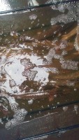 IMAG0226_BURST003