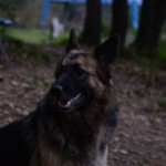 DSC_1135