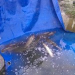 IMAG0265