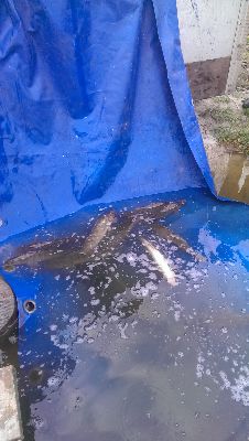 IMAG0265