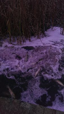 IMAG0270