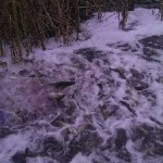 IMAG0271