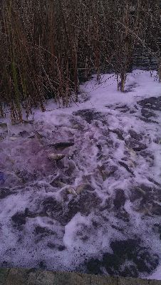 IMAG0271