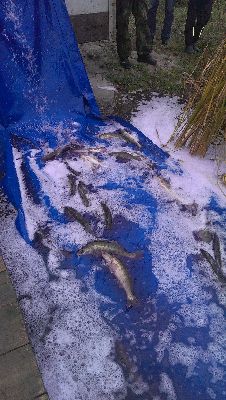 IMAG0277