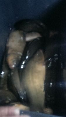 IMAG0283