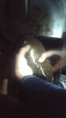 IMAG0284
