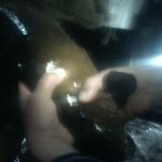 IMAG0285