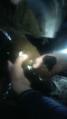 IMAG0285
