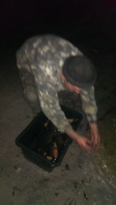 IMAG0288