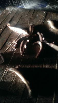 IMAG0314