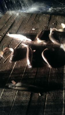 IMAG0315