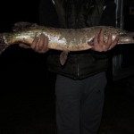 IMG_6327 IMG_6327