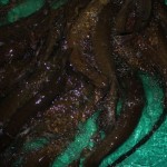 IMG_6338 IMG_6338