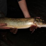 IMG_6343 IMG_6343