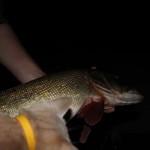IMG_6344