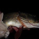 IMG_6345 IMG_6345