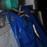 IMG_6427 IMG_6427