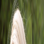y_d5c5740b y_d5c5740b