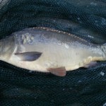 20131029_162629[1]