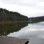 DSC_1236 DSC_1236