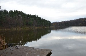 DSC_1236