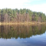20131203_123511