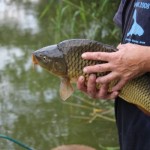 IMG_9234 IMG_9234