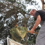 IMG_9237 IMG_9237