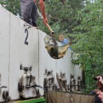 IMG_9246 IMG_9246