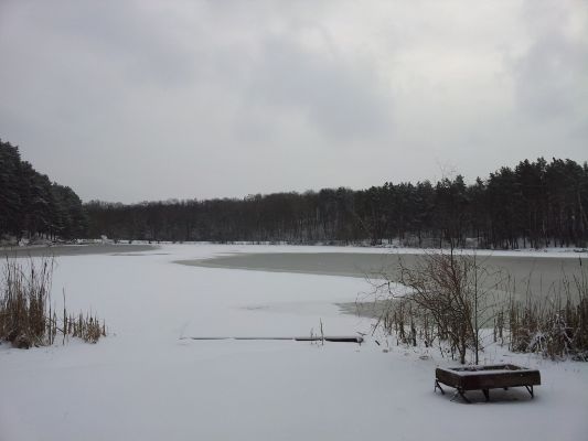 20140122_105312