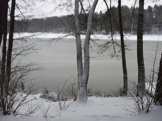 20140122_105614
