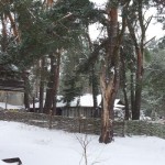 20140122_110707