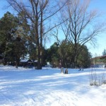 20140130_125902 20140130_125902