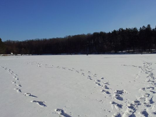 20140130_125917